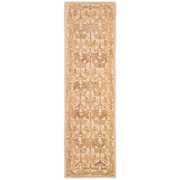 Safavieh Anatolia AN541B Area Rug - Ivory/Gold, Size: 6 x 9 ft.