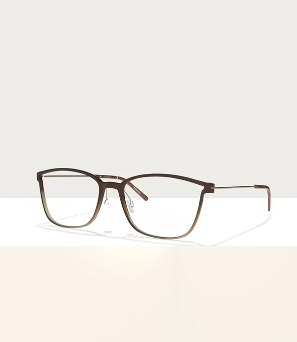 Airlock 3001 Eyeglasses - 216 Matte Brown Gradient