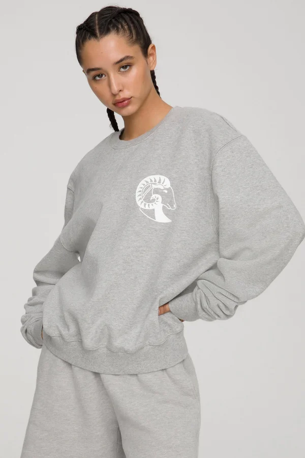 Women's Aries Boyfriend Sweatshirt Size 2 - Good American