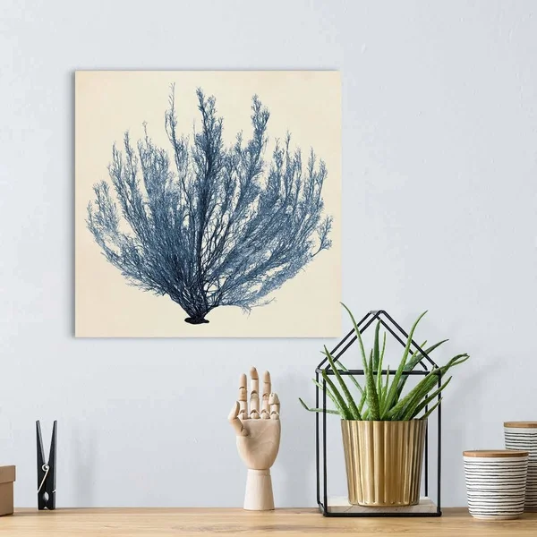 Coastal Seaweed III - Canvas Wall Art, 16x16, Great Big Canvas