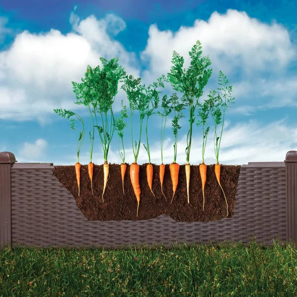 Ogrow 39x22 Square Wicker Raised Garden Bed with Premium Canopy Cover