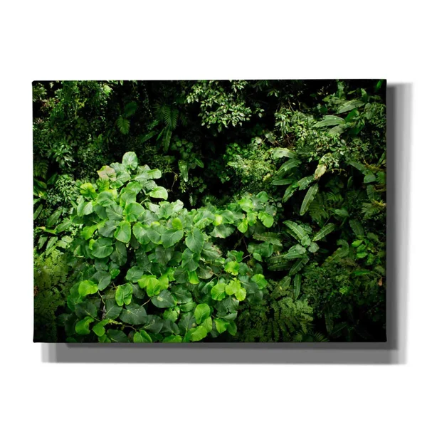 Cortesi Home 'Rainforest Canopy' by Nicklas Gustafsson Canvas Wall Art - 16 inchx12 inch, Size: 16 x 12, Green