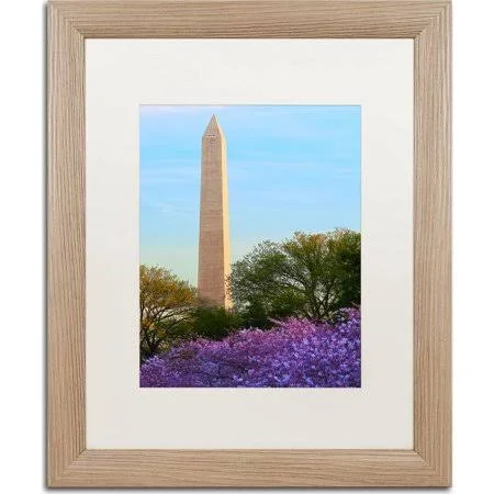 Trademark Fine Art &Washington Monument Spring& by CATeyes Framed Photographic Print - Matte Color: White - Size: 20x22 H x 16x22