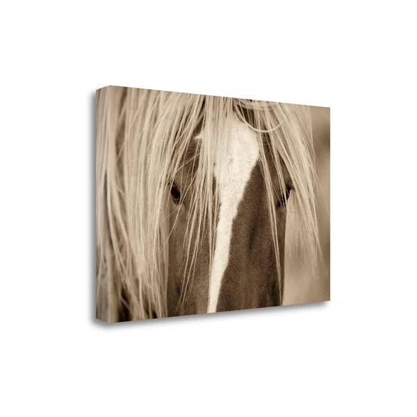The Blonde by Lisa Dearing, 31x22 x 20x22 Fine Art Giclee Print on