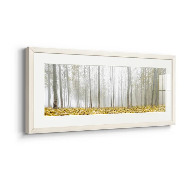 Poplar Grove-Premium Gallery Framed Print - Wood - White