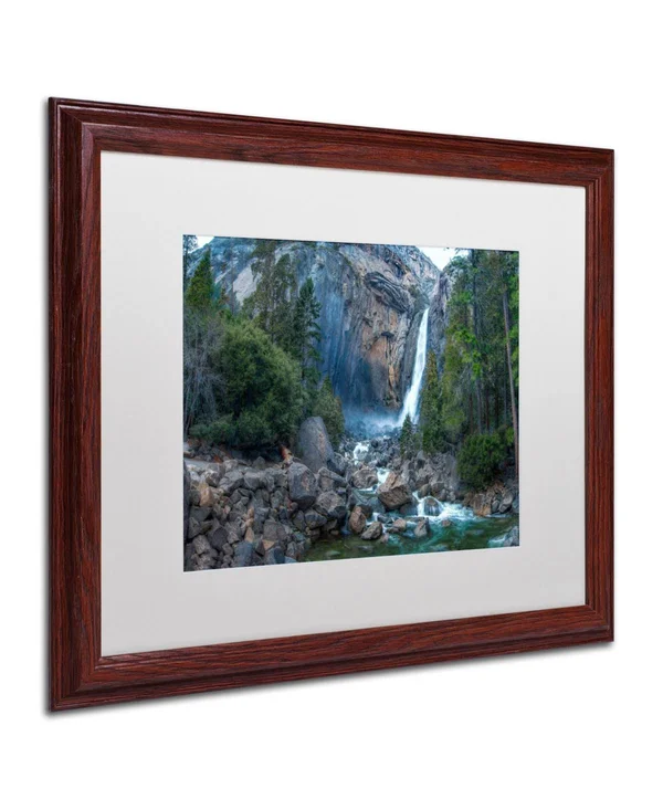 Trademark Fine Art &Yosemite National Park - California-IV& by David Ayash Framed Photographic Print - Size: 16x22 H x 20x22 W