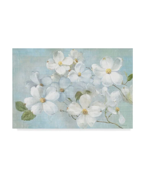 Trademark Fine Art Wap08997-C2232Gg Danhui Nai 'Indiness Blossoms Ligh