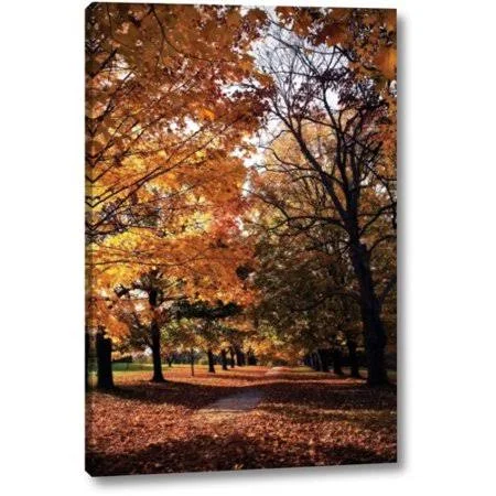 Millwood Pines 'Maymont Maples III' by Alan Hausenflock Giclee Art Print on Wrapped Canvas, Size: 16 inch H x 11 inch W x 1.5 in