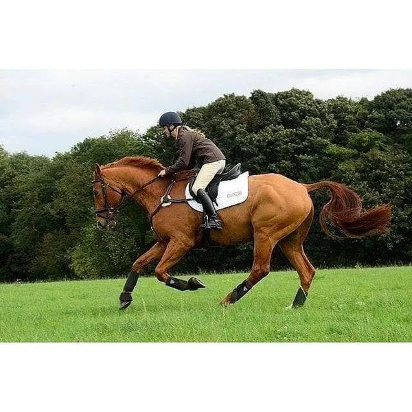 Equilibrium New Tri-Zone All Sports Tendon Boots - Royal Blue