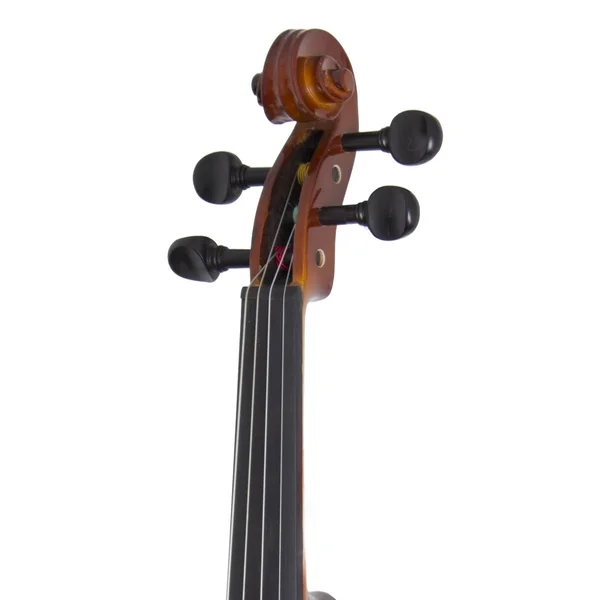 Cecilio CVN-300 Solidwood Ebony Fitted Violin with D&Addario Prelude Strings - Size 4/4 (Full Size)