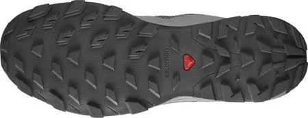 Salomon Men's Outline GTX Hiking - Alloy/Black/Evening Primrose