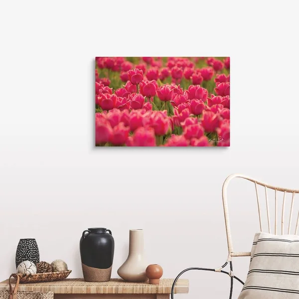 Pretty Pink Tulips, Canvas Wall Art, 30x20, Great Big Canvas