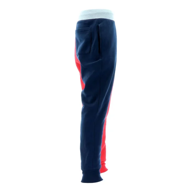 Champion Life Men's REVERSE Weave Colorblock Jogger
