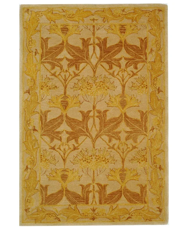 Safavieh Anatolia AN541B Area Rug - Ivory/Gold, Size: 6 x 9 ft.