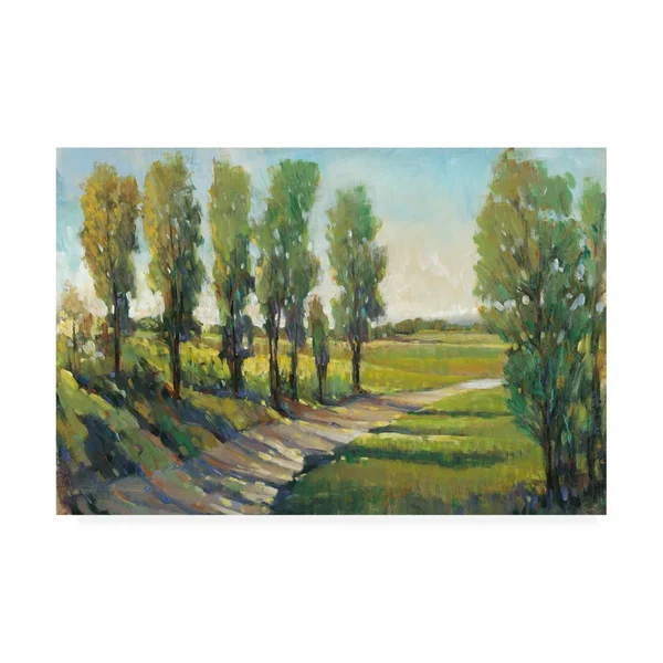 Trademark Fine Art 'Lush Landscape I' Canvas Art by Tim OToole, Size: 30 x 47