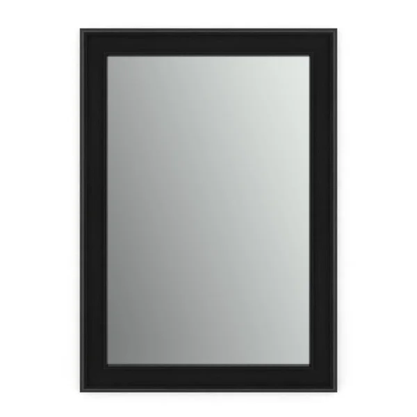 Delta 29 in. W x 41 in. H (M3) Framed Rectangular Standard Glass Bathroom Vanity Mirror in Matte Black