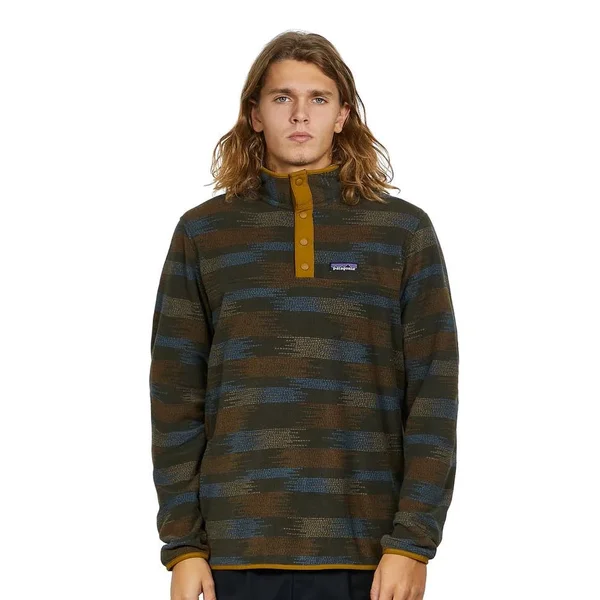 Patagonia Men's Micro D Snap-T Pullover - XXL, Green