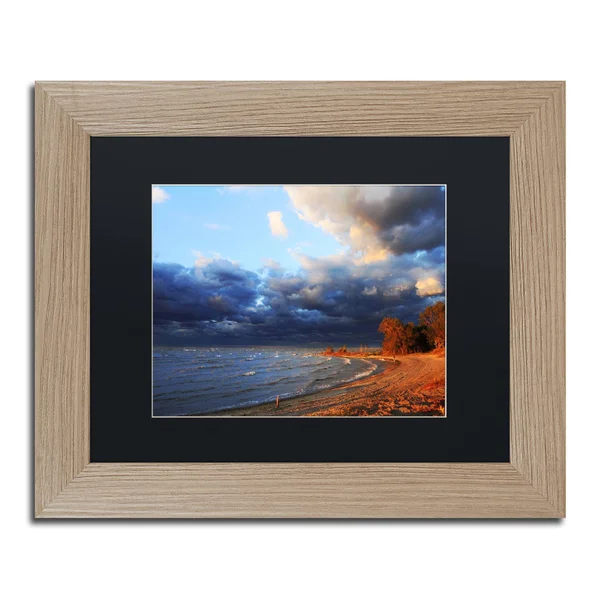 Trademark Fine Art &Lake Erie Autumn& by Jason Shaffer Framed Photographic Print - Size: 11x22 H x 14x22 W x 0.5x22 D, Matte Col
