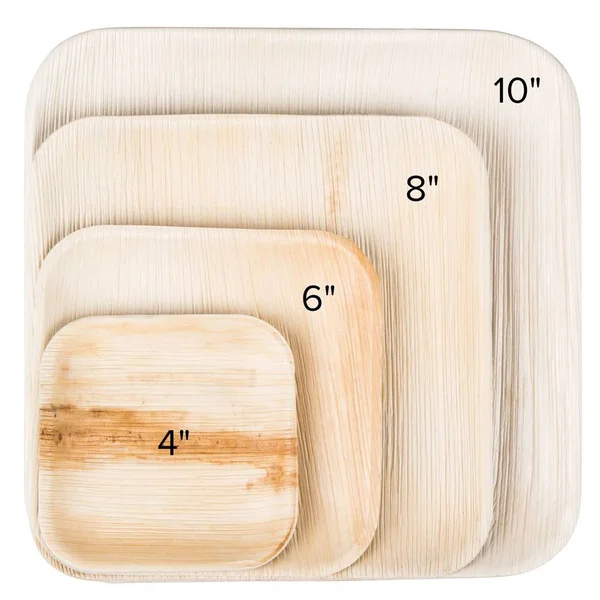 Eco-gecko 4x22 Square Palm Leaf Plate, 200-ct Case