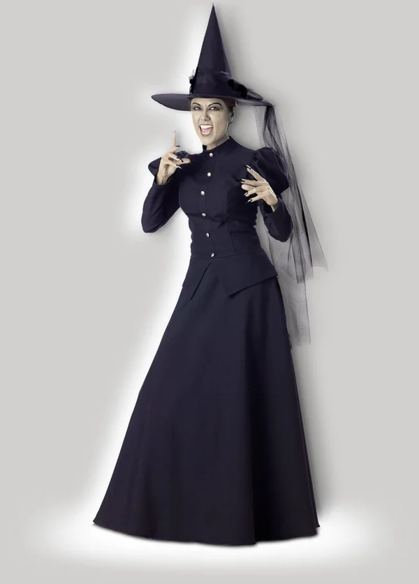 InCharacter Costumes Witch Elite Collection Adult Costume - Black, L