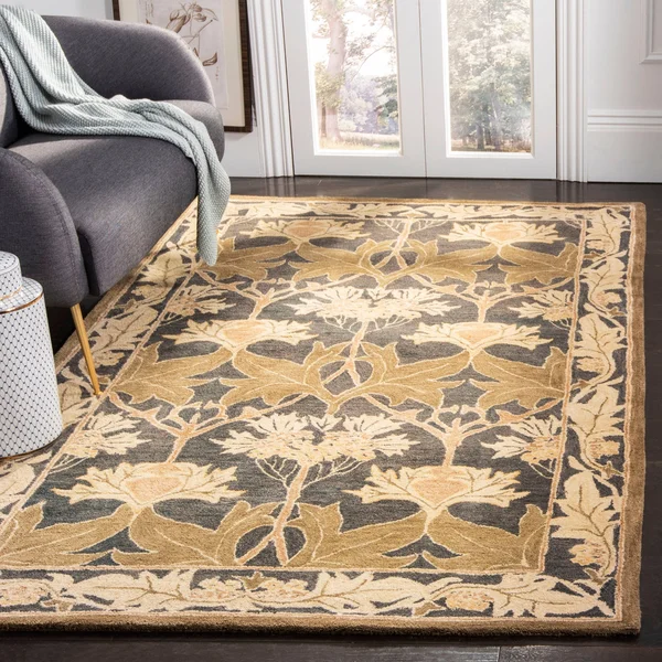 Safavieh Anatolia AN541B Area Rug - Ivory/Gold, Size: 6 x 9 ft.