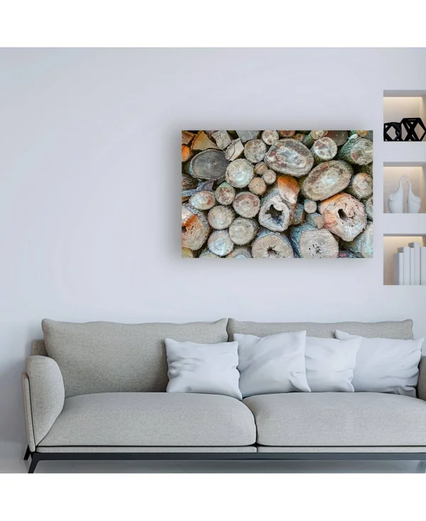 Trademark Fine Art Ic01571-C2232Gg Brooke T. Ryan 'Woodpile' Canvas AR