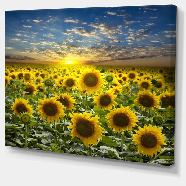 Design Art Field of Blooming Sunflowers Photographic Print on Wrapped Canvas, Green