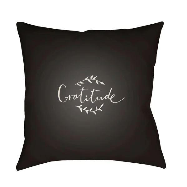 20x22 Black and White Gratitude Throw Pillow Cover - 33419017