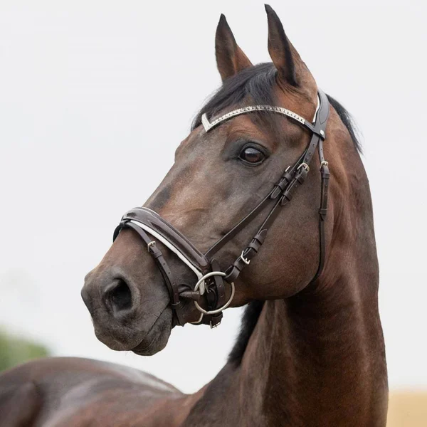 Horze Grayson Snaffle Bridle Pony, Dark Brown