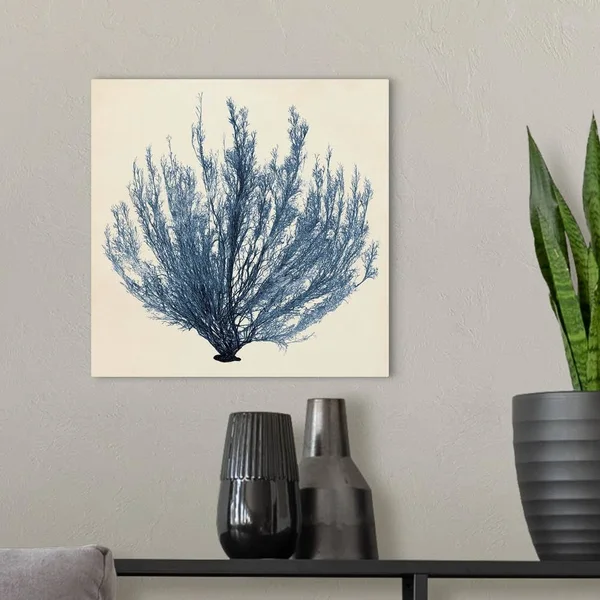 Coastal Seaweed III - Canvas Wall Art, 16x16, Great Big Canvas