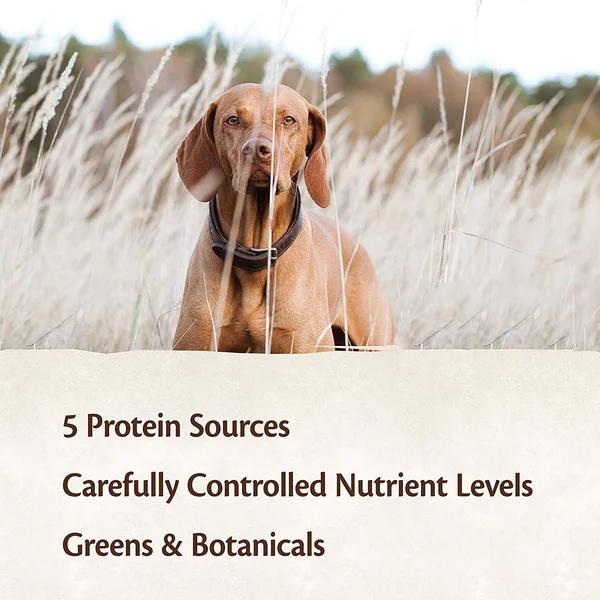 Wellness Core Natural Wet Grain Free Canned Dog Food, Salmon, Whitefish & Herring, 12.5-Ounce Can (Pack of 12)