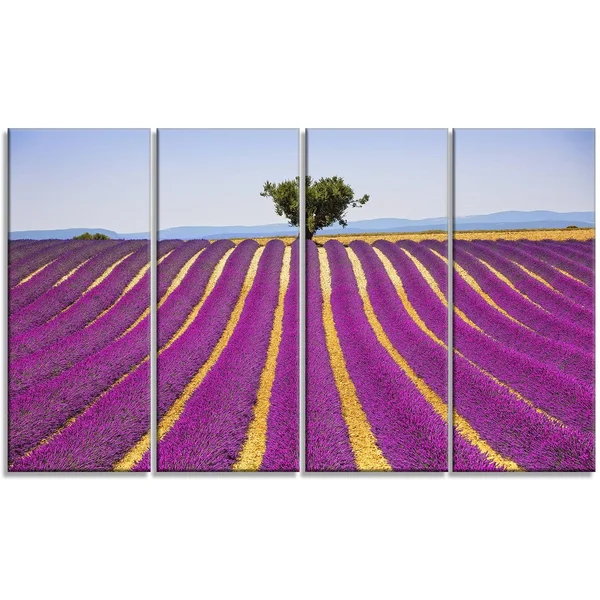 Design Art 'Lavender and Lonely Tree Uphill' 4 Piece Photographic Print on Wrapped Canvas Set, Purple