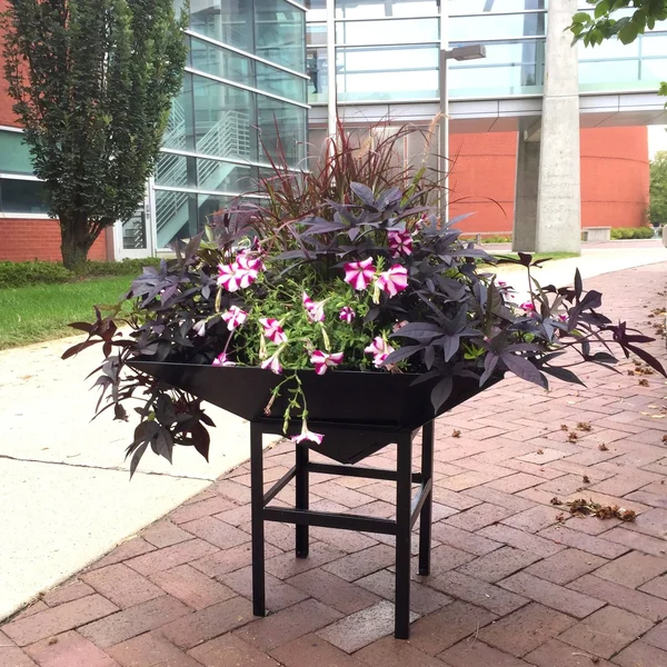 Paragon 4040BL Geometric Metal Black Planter with Large Stand