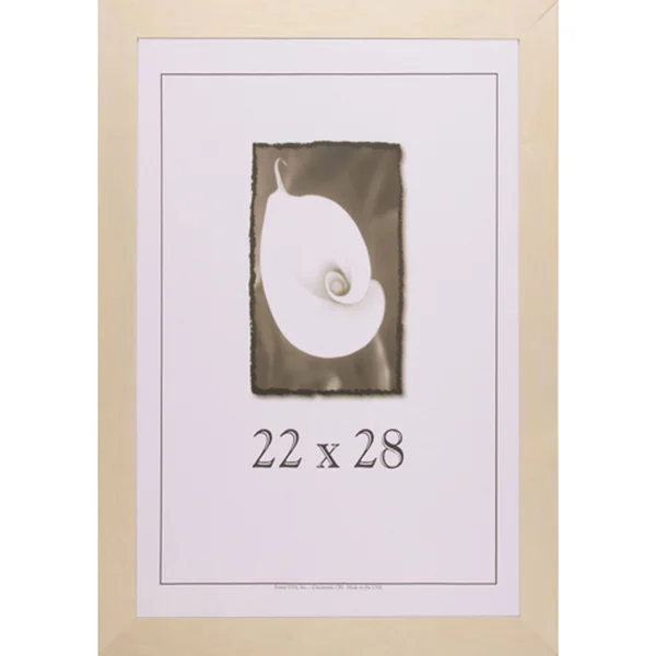 Frame USA Decorate-It 2-Inch Picture Frame (22 x 28-inch)