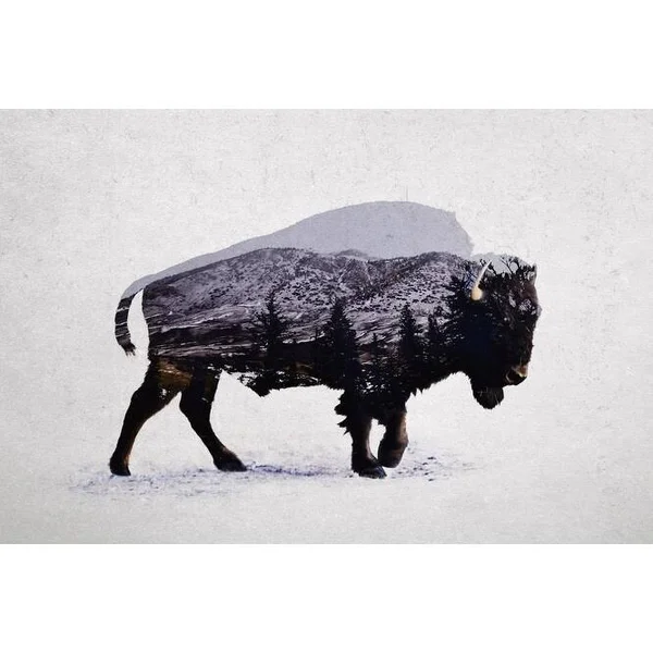 Easy Art Prints Davies Babies's 'The American Bison' Premium Canvas Art - 24 x 36 - Classic Black Frame