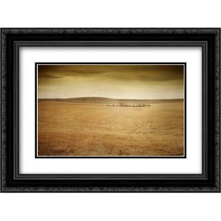 Homestead 2x Matted 24x18 Black Ornate Framed Art Print by Murray, Roberta