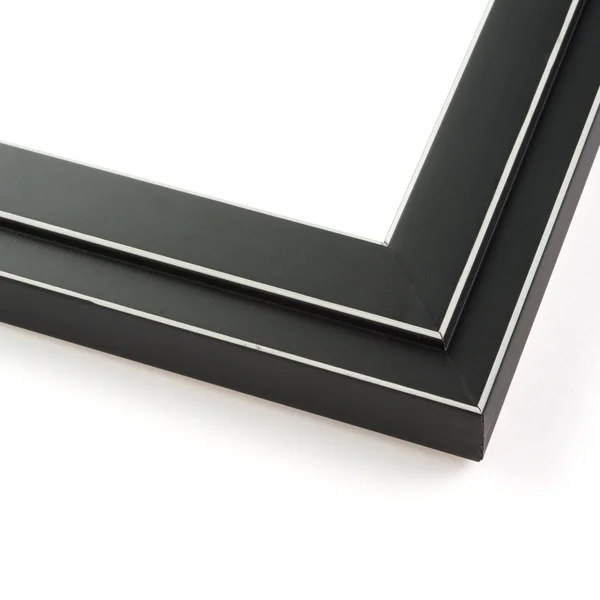 CustomPictureFrames 30x40 - 30 x 40 Black and Silver Pinstripe Solid Wood Frame with UV Framer&s Acrylic & Foam Board Backin