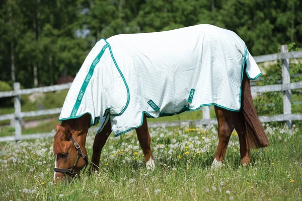 Amigo Aussie Allrounder Fly Sheet