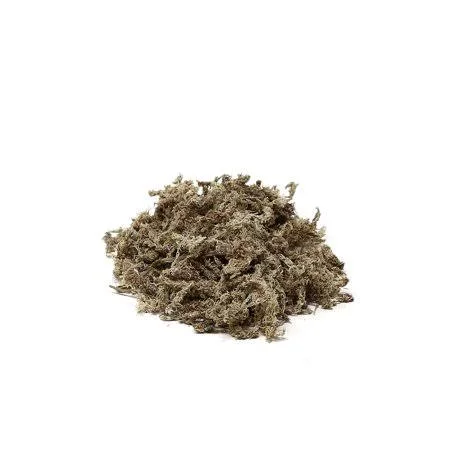 Jamali Garden Supermoss Sphagnum Moss