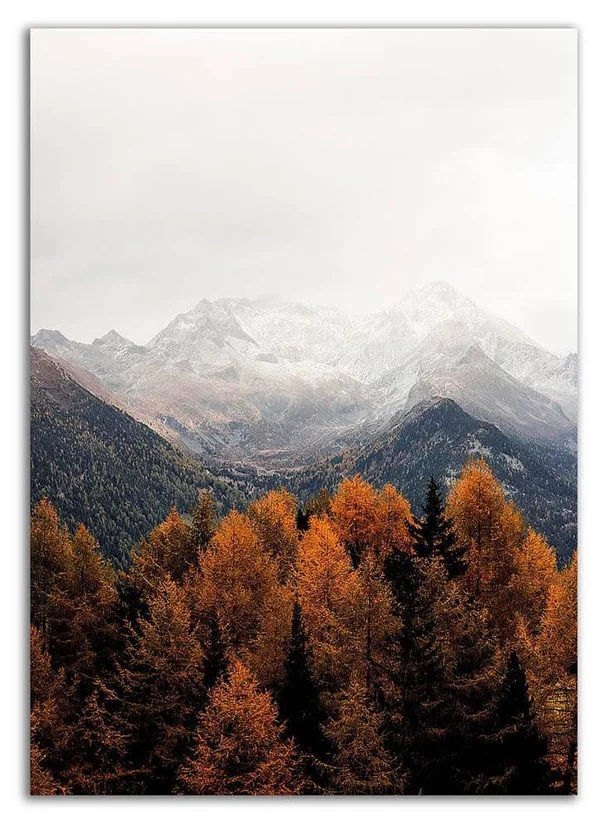 Tangletown Fine Art 28x22 x 20x22 Bishop 17 by Design Fabrikken Print on Canvas