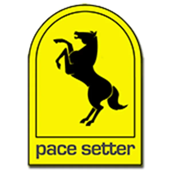 PaceSetter Exhaust Header 70-1118