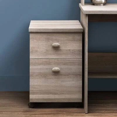 2-Drawer Mobile Vertical Filing Cabinet Gracie Oaks