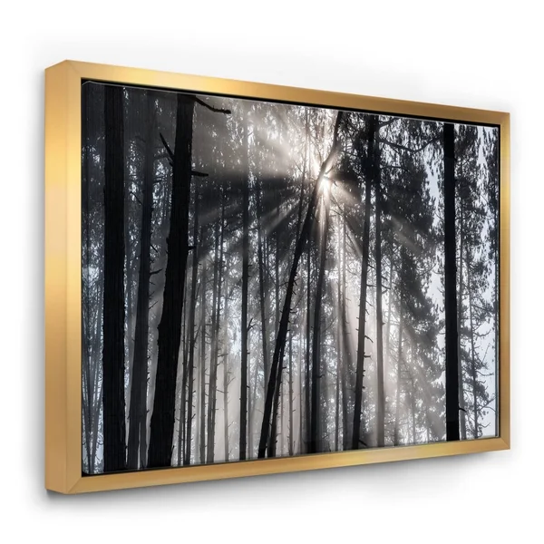 Designart 'Sunbeams Through Black White Forest' Forest Framed Canvas Wall Art Print - 20 in. Wide x 12 in. High - Gold