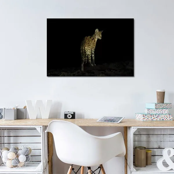 Martin Steenhaut Paintings on Canvas Art - Serval Night Printstyle > Photography art)
