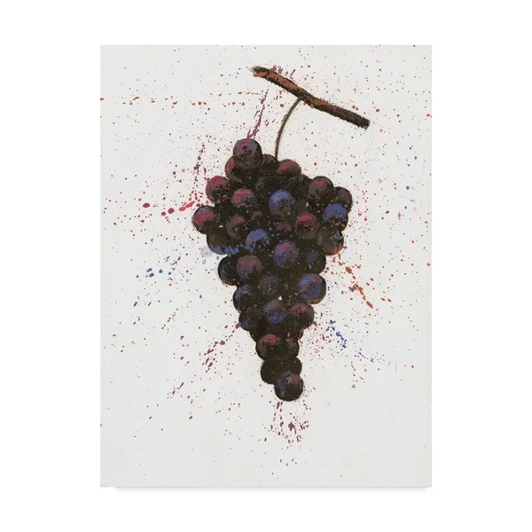 Trademark Fine Art 'Wine Splash Grapes Purple' Canvas Art by Wellington Studio - Size: 14 x 19