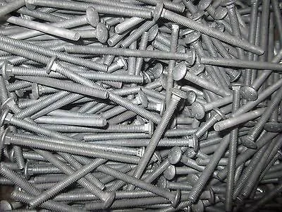 500pc Hot Dipped Galvanized Carriage Bolts 1 4-20 x 5-1 2 at MechanicSurplus.com