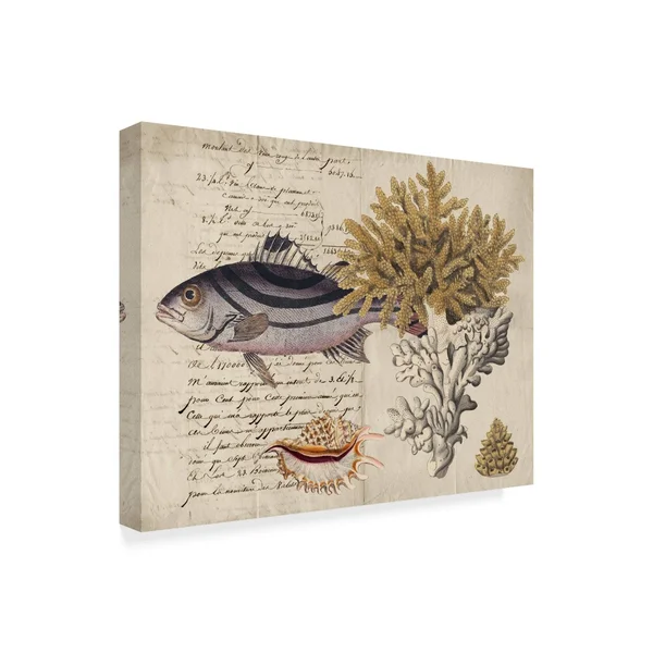 Trademark Fine Art 'Sea Life Journal III' Canvas Art by Vision Studio, Size: 35 x 47