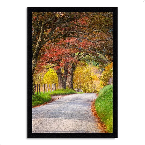 Tangletown Fine Art 60x22 x 41x22 Country Road II Framed Photograph Print