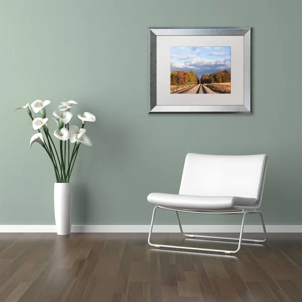 Trademark Fine Art &Wellington Tracks& by Jason Shaffer Framed Photographic Print - Size: 11x22 H x 14x22 W x 0.5x22 D, Matte Co