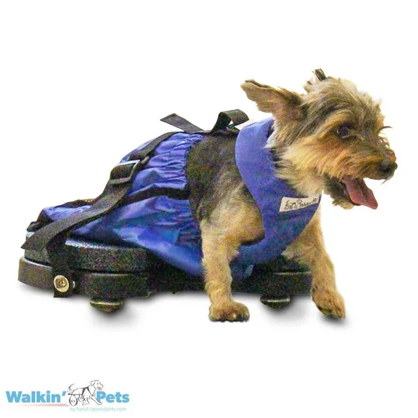 Walkin& Scooter